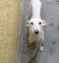 Marley