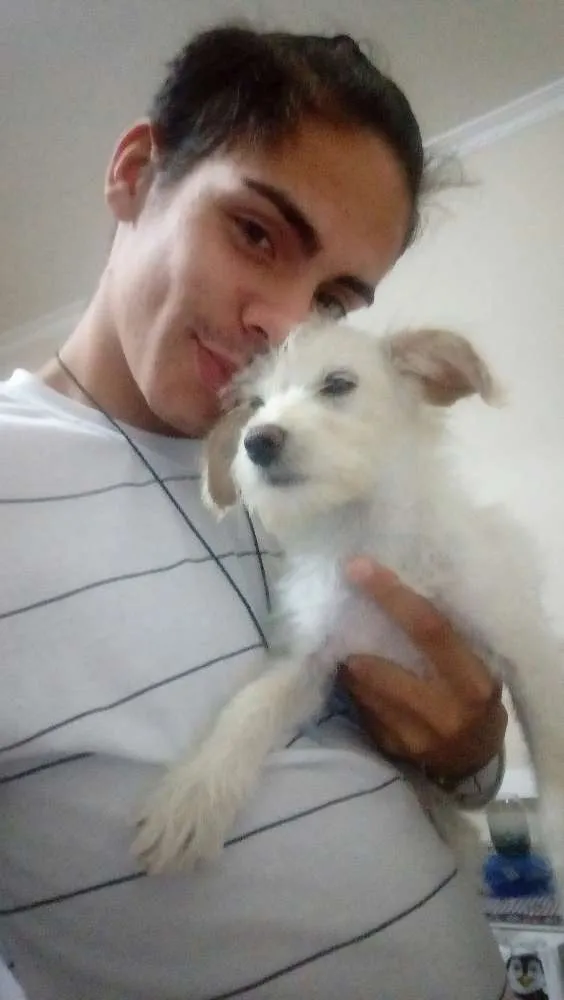 Cachorro ra a Vvira lata idade 7 a 11 meses nome Lilica