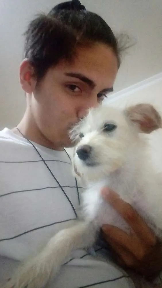 Cachorro ra a Vvira lata idade 7 a 11 meses nome Lilica