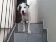 Nina