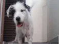 Nina