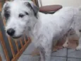 Nina