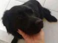 Loki