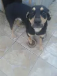 Aron