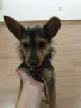 Mia