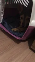 Mia