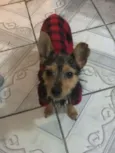 Mia