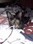 Mia