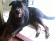 beethoven