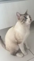 Tom