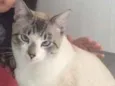 Tom