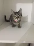 Penelope