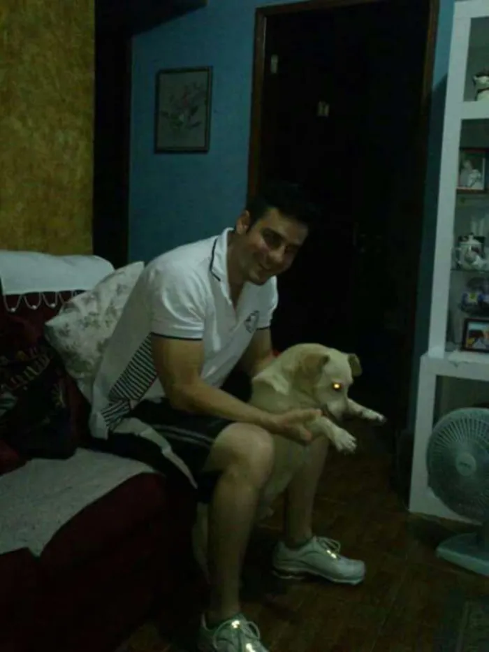 Cachorro ra a Vira lata idade 6 ou mais anos nome Timothy