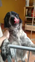 Bolota