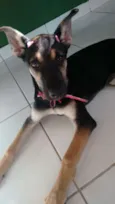 Charlote