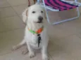Togo