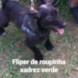 Fliper