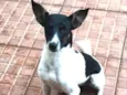 Magrinha