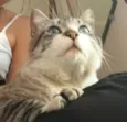 Derik