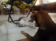 Derik