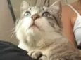 Derik