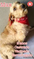 Max