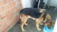 Romeu