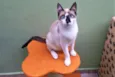 Milu
