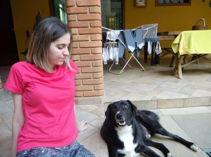 Cachorro ra a Labrador/ Vira lata idade  nome Urso