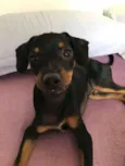 Bruce