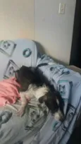 kayte