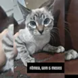Pérola , branca... 