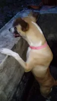 Mel