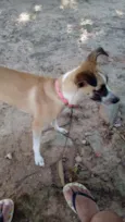 Mel