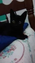 Aquiles