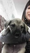 Sem nome ainda