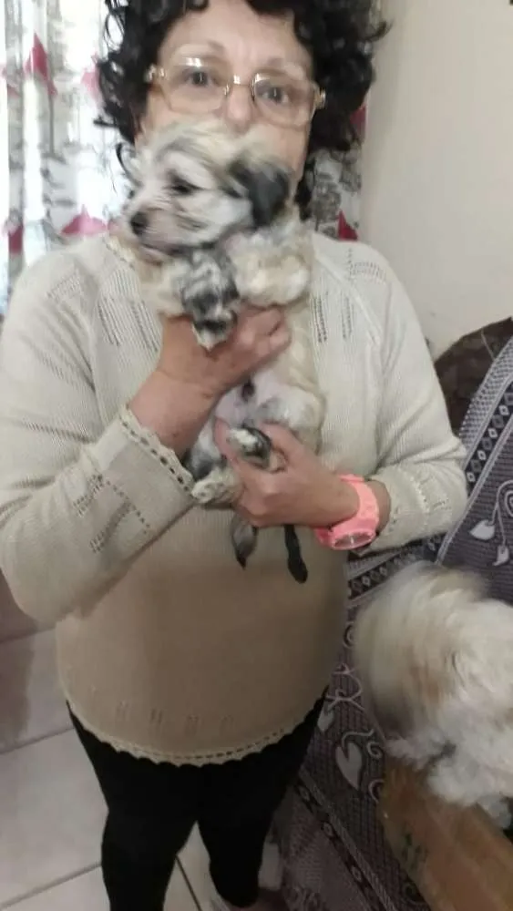 Cachorro ra a SRD idade Abaixo de 2 meses nome Filhotes