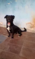 Spike