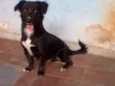 Spike