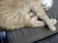 Théo
