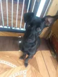 Molly