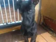 Molly