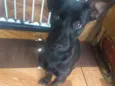 Molly