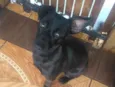 Molly