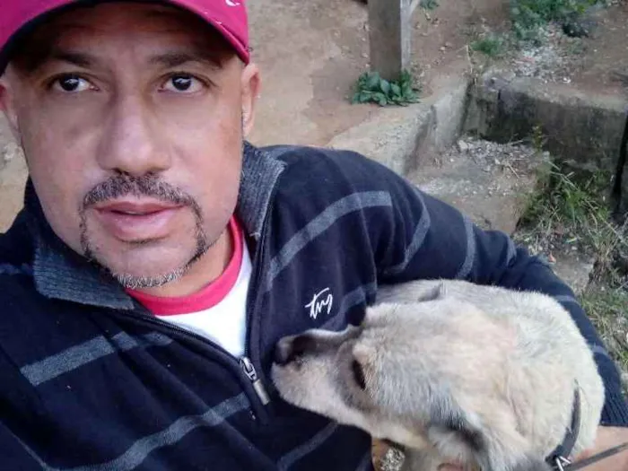 Cachorro ra a Pudo idade 1 ano nome Paçoca