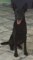 Luma