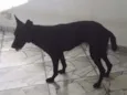 Luma