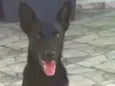 Luma