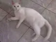 Felícia