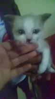 Não sei